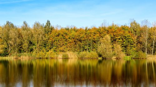 autumn lake nature