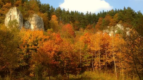 autumn colors beauty