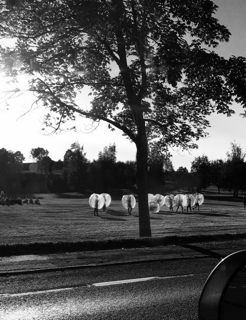 autumn students balloon