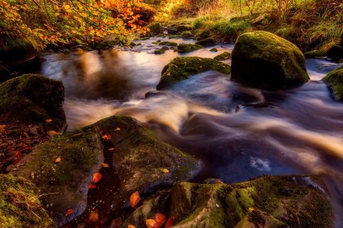 autumn valley of desolation yorkshire