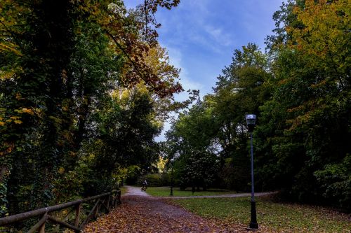 autumn foliage colors