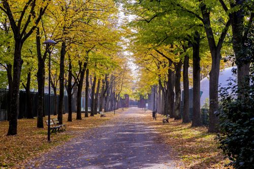 autumn foliage colors