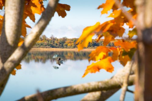 autumn pond water