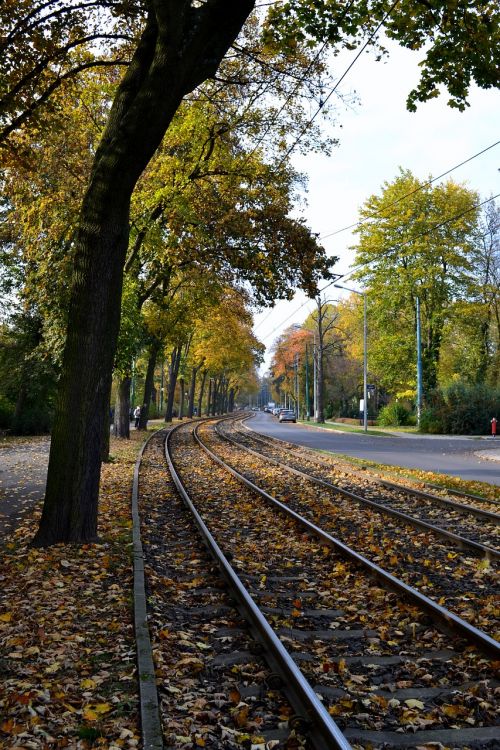 autumn tracks the prospect of