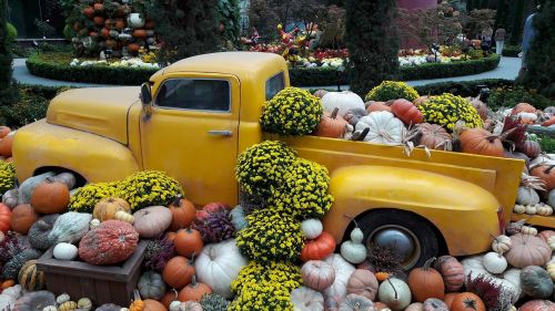 autumn harvest truck