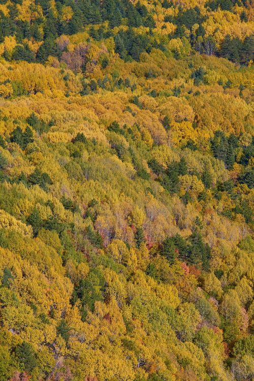 autumn season landscape
