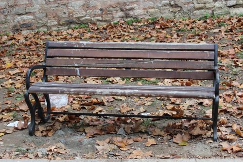 autumn dry leaves bank