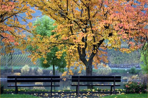 autumn mosel village