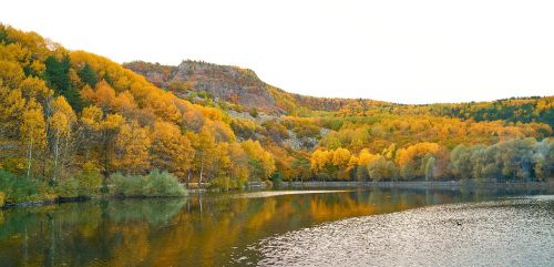autumn trees lake