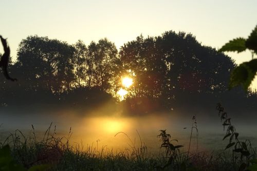 autumn fog mood