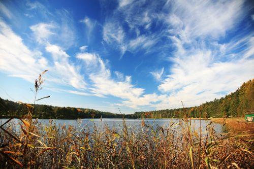 autumn lake forest