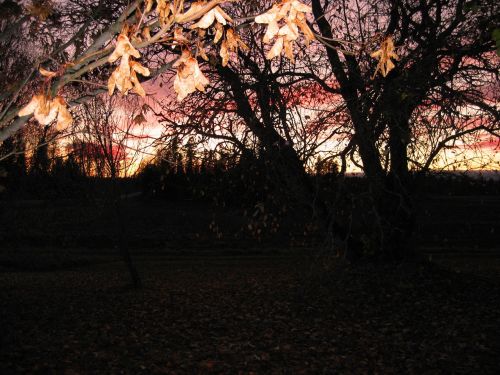 autumn fall colors landscape