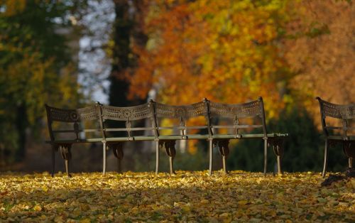 autumn park bench wrought iron