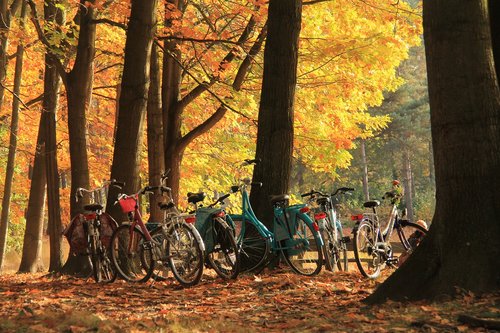 autumn  cycling  color