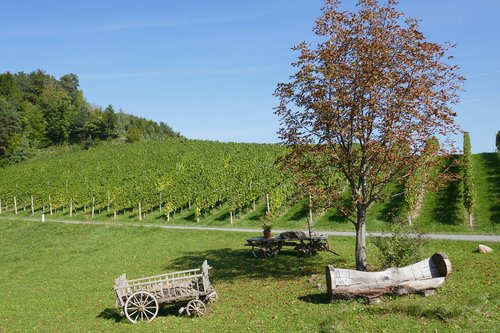 autumn  landscape