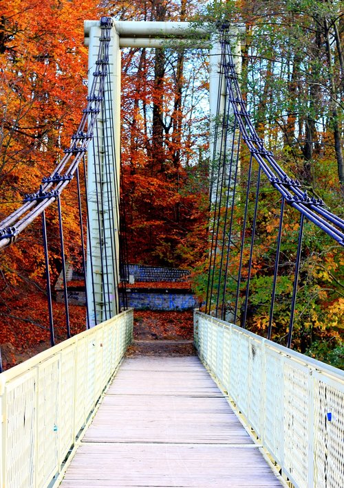 autumn  bridge  bridge cable