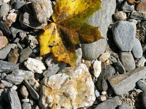 autumn sheet stone
