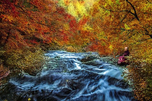 autumn  colorful  scenery