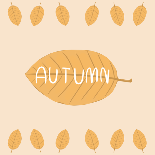 autumn  leaf  nature