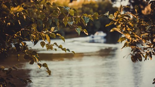 autumn  river  nature