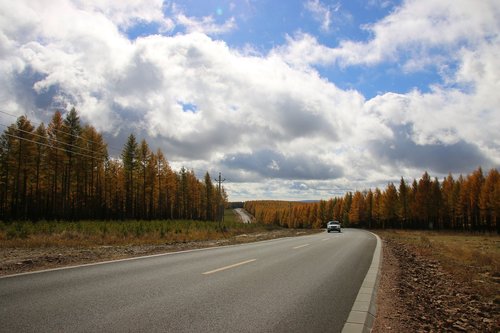 autumn  highway  prairie