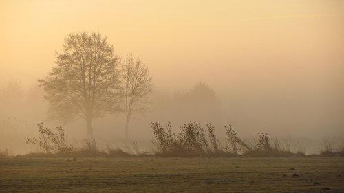 autumn  fog  sunbeam