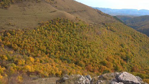 autumn  landscape  nature