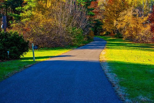 autumn  trees  path