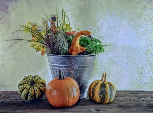 autumn  harvest  halloween