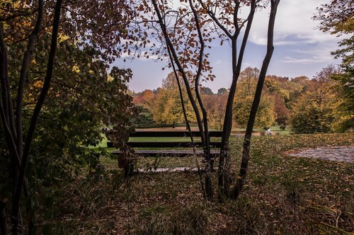 autumn  park bench  nature