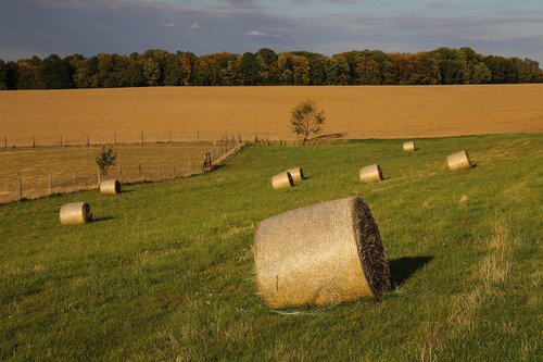 autumn  harvest  straw bales