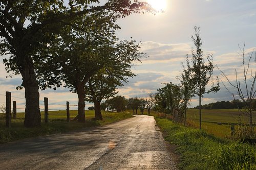 autumn  lane  abendstimmung