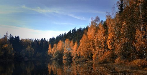 autumn  pond  nature