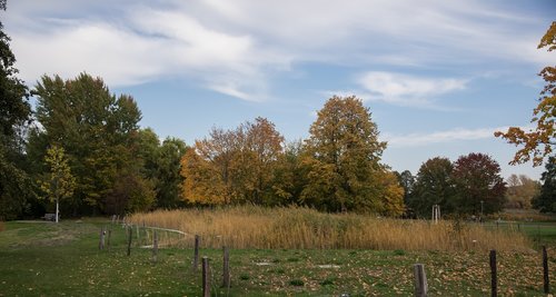 autumn  landscape  nature