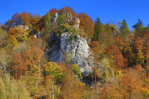 autumn  forest  valley