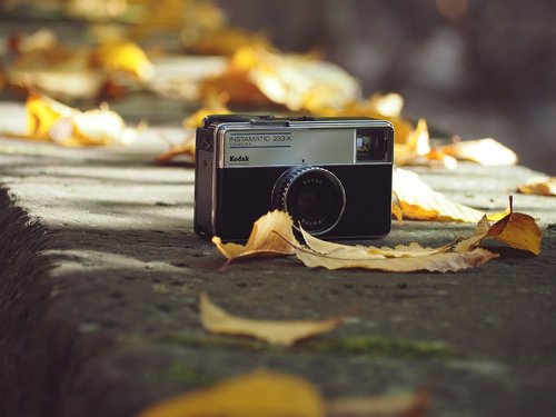 autumn  autumn photography  camera