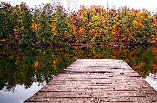 autumn  color  colored