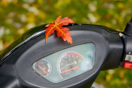 autumn  motor scooter  nature