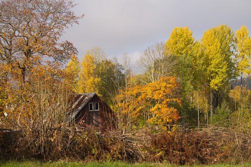 autumn  color  nature