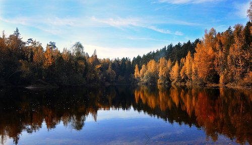 autumn  pond  nature