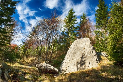 autumn  nature  forest