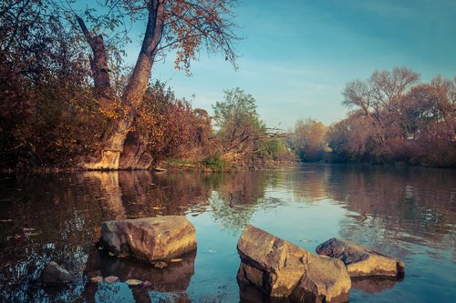 autumn  river  nature