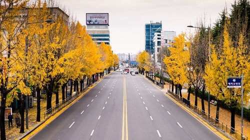 autumn  city  street