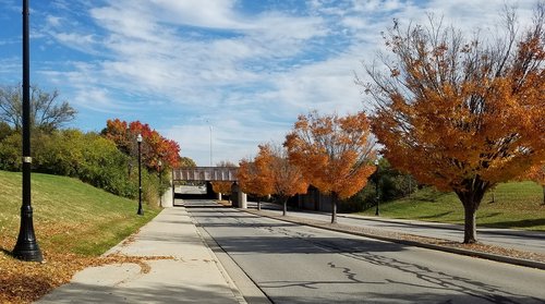 autumn  fall  road