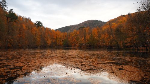 autumn  peace  nature