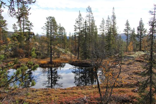 autumn  telemark norway  tindefjell