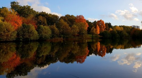 autumn  red  orange