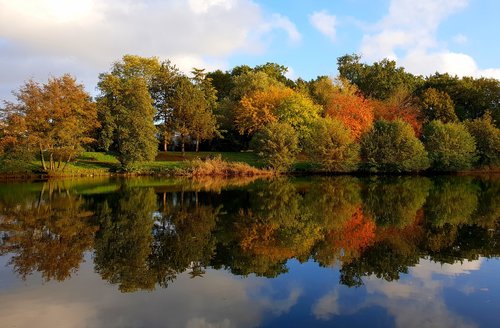 autumn  reflection  green