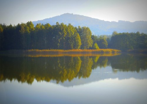 autumn  fish pond  pond