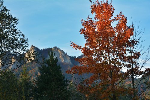 autumn  mountains  landscape